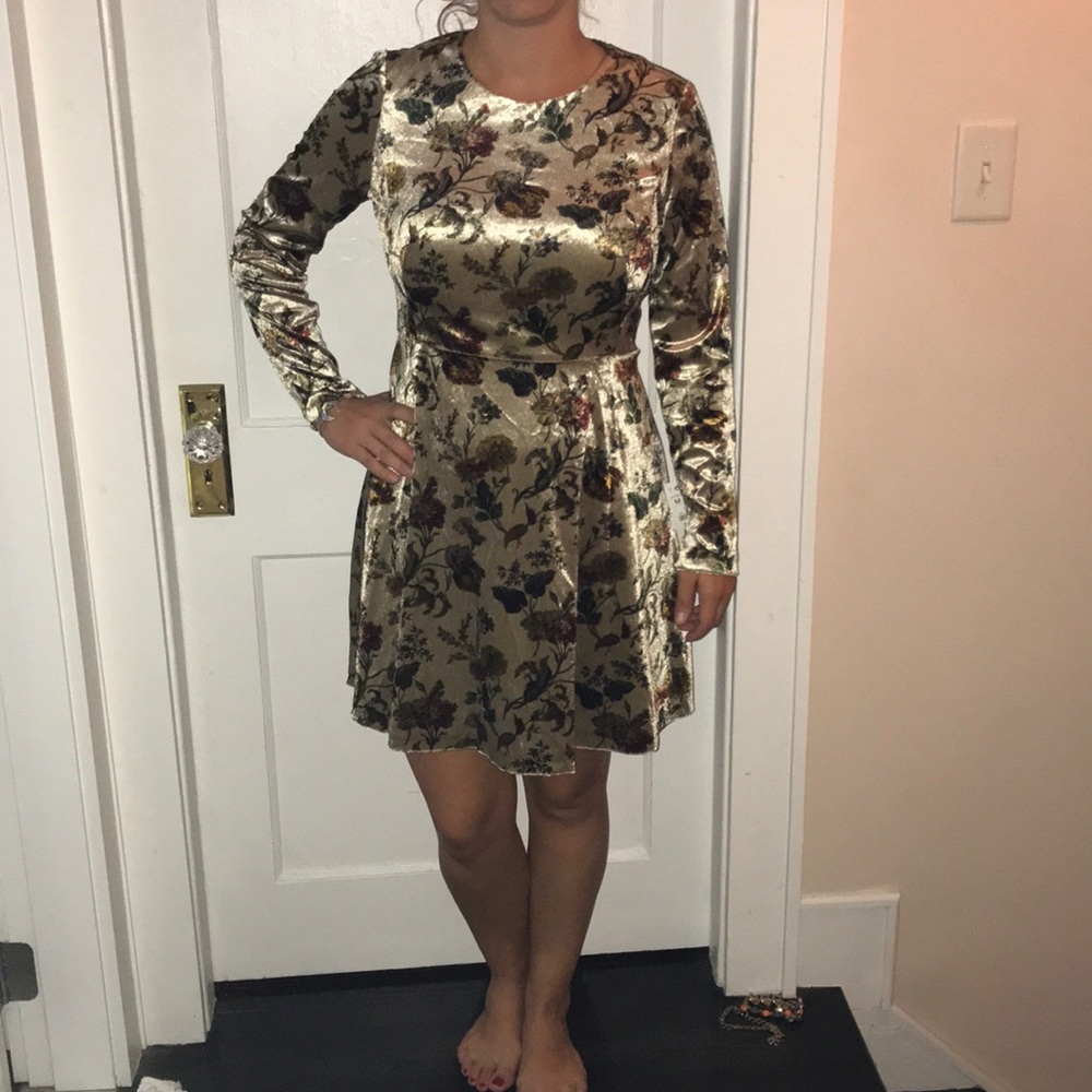 Velvet floral Zara long sleeve dress NWT